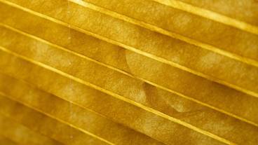 内装の詳細 / 16