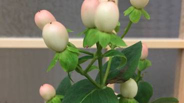 内装の詳細 / 12