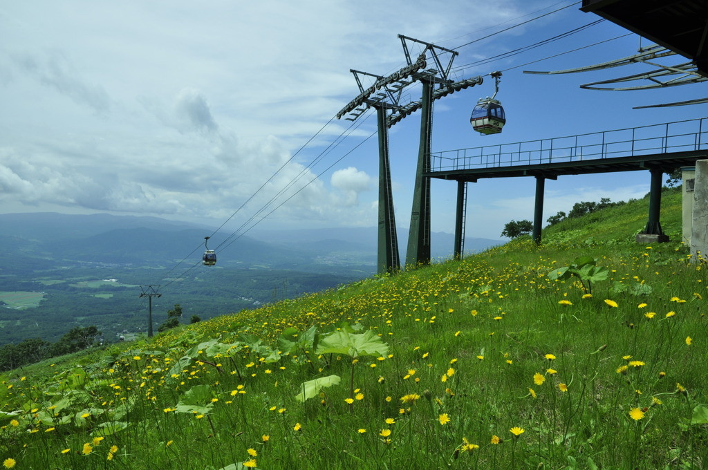 ニセコの自然の中にあるスカンジナビアンシックのホテル3641116