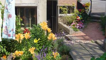 施設からの眺望 / 8