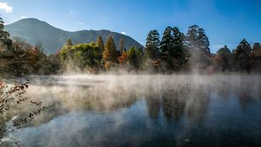 ランド ビュー / 22