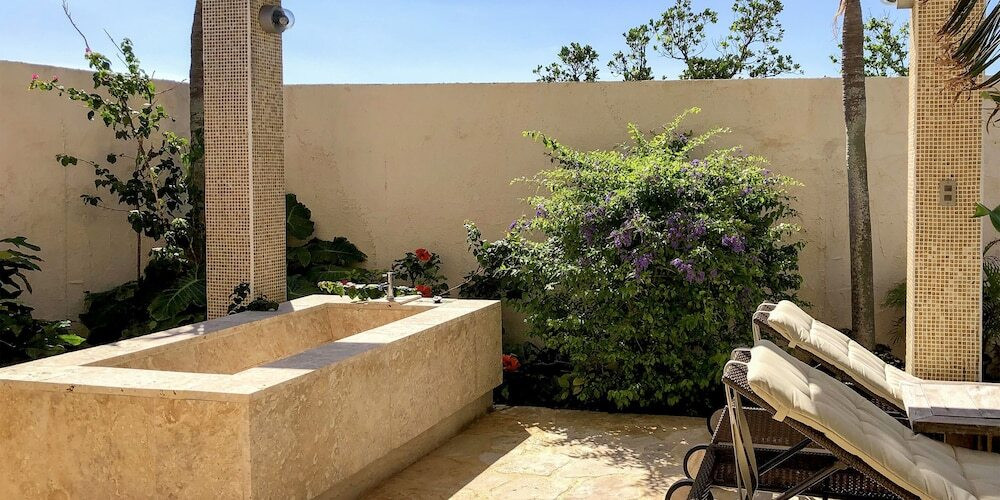 テラス / パティオ