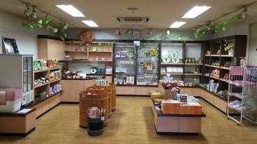 内装の詳細 / 27