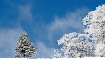 スノー スポーツとスキー / 4