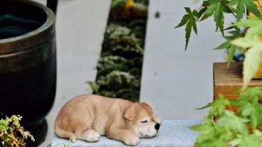 テラス / パティオ / 19