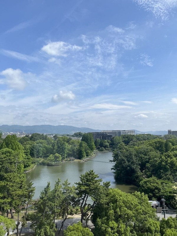 テラス / パティオ