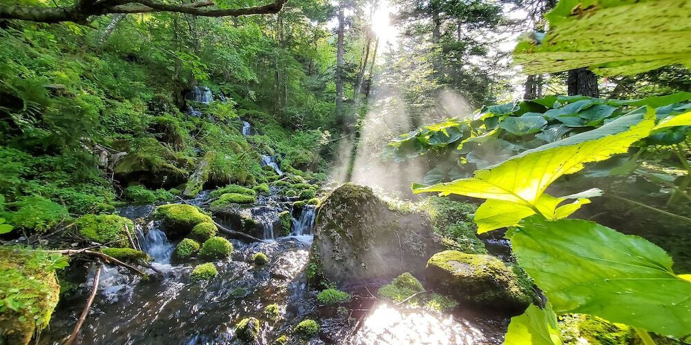 施設からの眺望