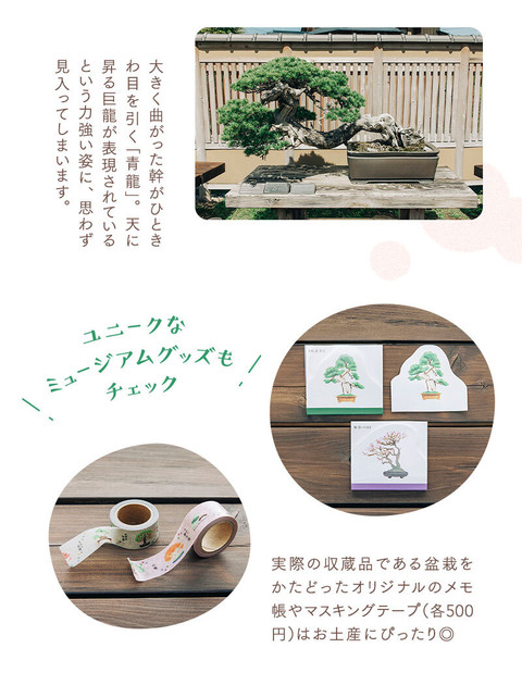 さいたまで1日リフレッシュ！好奇心をくすぐる 親子おでかけプラン - 5