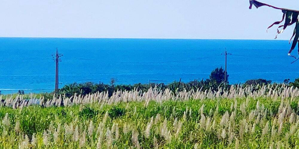 ビーチ / オーシャン ビュー