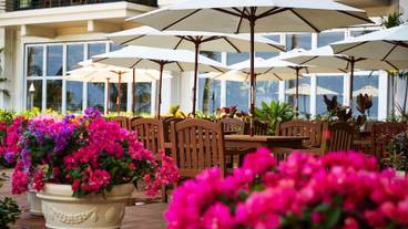 テラス / パティオ / 36