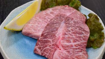 レストラン / 26