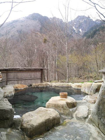 「野の花山荘」 その他 64902106 単純温泉（低張性中性高温泉）