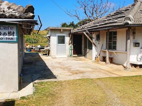 KOURIJIMA ぶどうの樹 / 2