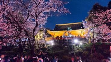 観光スポット / 6