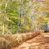 フォレストリゾート 山中湖 秀山荘（山梨県 旅館） / 5