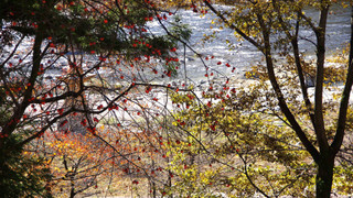 スイート和洋室 展望温泉付