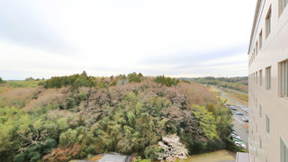 セミダブルルーム 禁煙