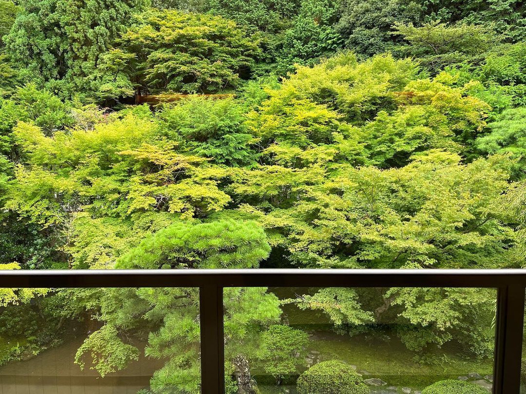 aaayuayuayuさんの写真 / 2