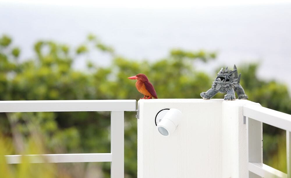 施設からの眺望