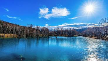 観光スポット / 6