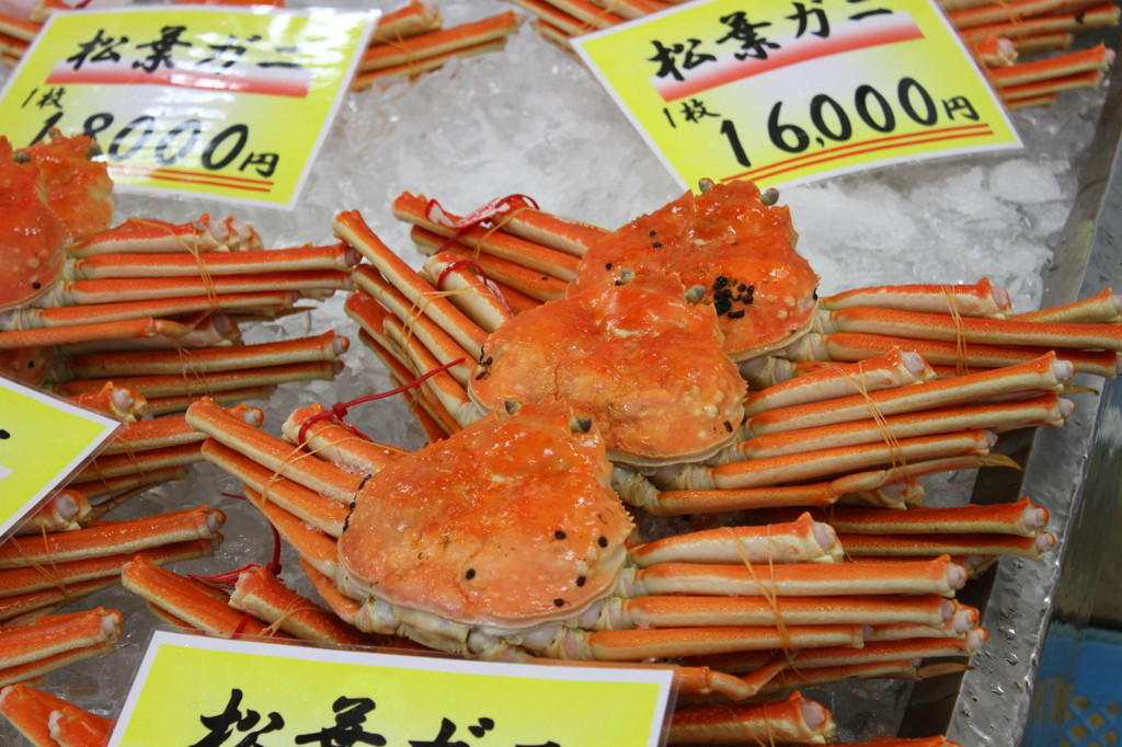 西日本には、カニの超有名スポットが目白押し4117470