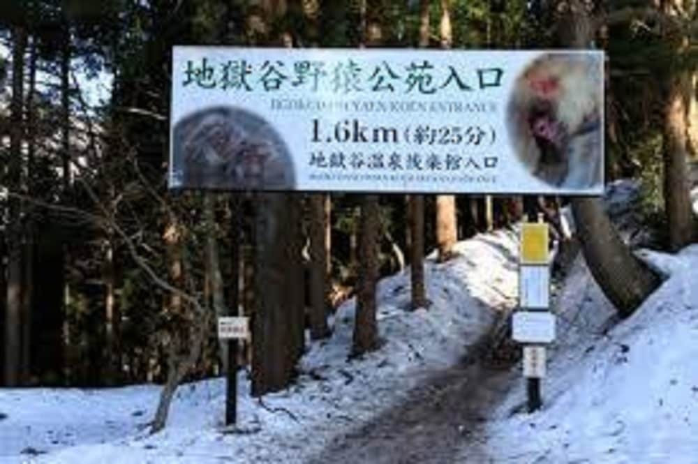 子供向けアクティビティ