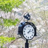 早太郎温泉 駒ヶ根高原リゾートリンクス（長野県 シティホテル） / 5