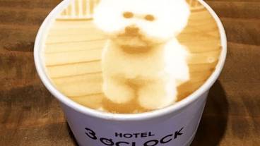 食事・飲み物 / 2