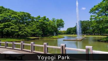 シティ ビュー / 24