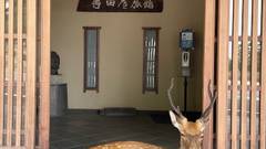 さるさわ池 よしだや