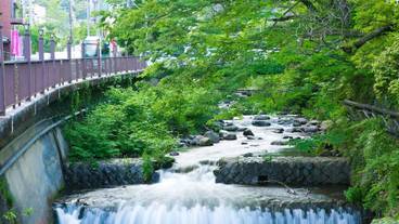 施設からの眺望 / 14