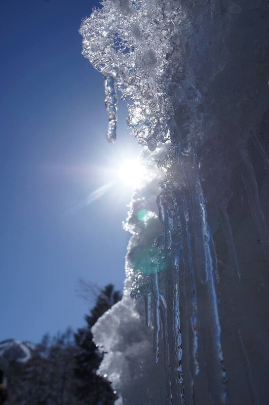 マウンテン ビュー