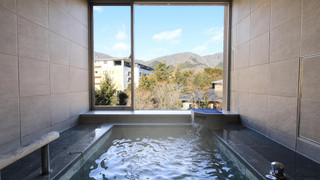 温泉内風呂付き和洋室 [禁煙]