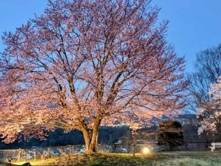 布引温泉こもろ / 4