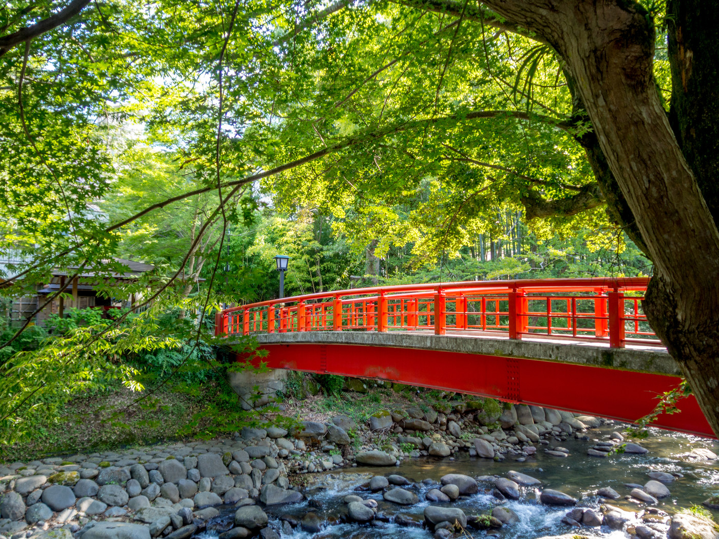 【伊豆】修善寺温泉街の風景【夏】