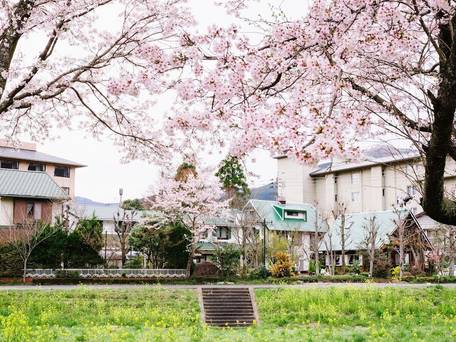 由布院温泉 ペンション ゆふいん / 5