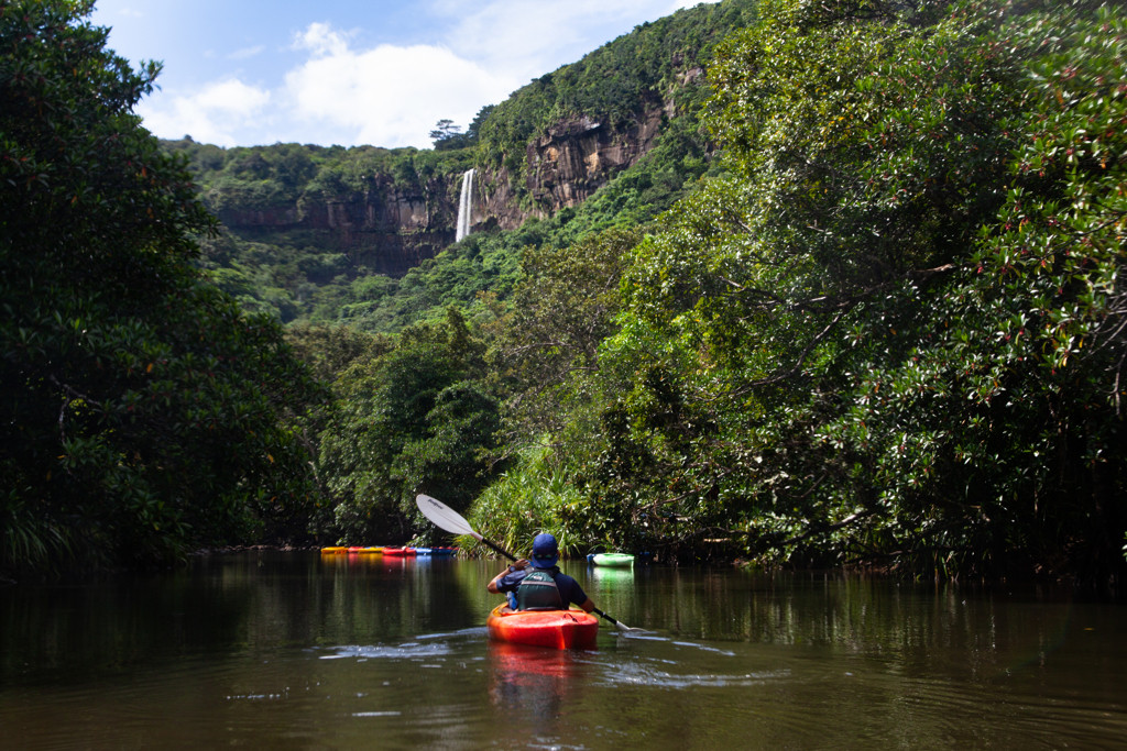 亜熱帯のジャングルで大自然を満喫！「西表島」3442374