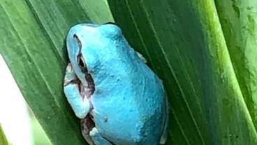 施設の敷地 / 19