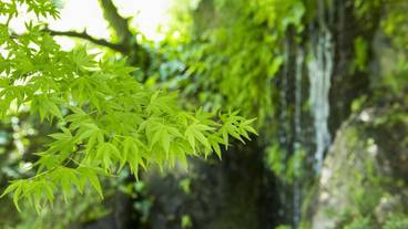 施設からの眺望 / 27