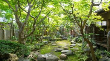 リビング エリア / 26