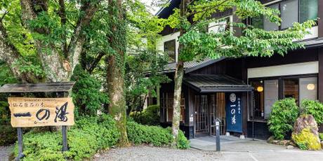 仙石原 品の木 一の湯