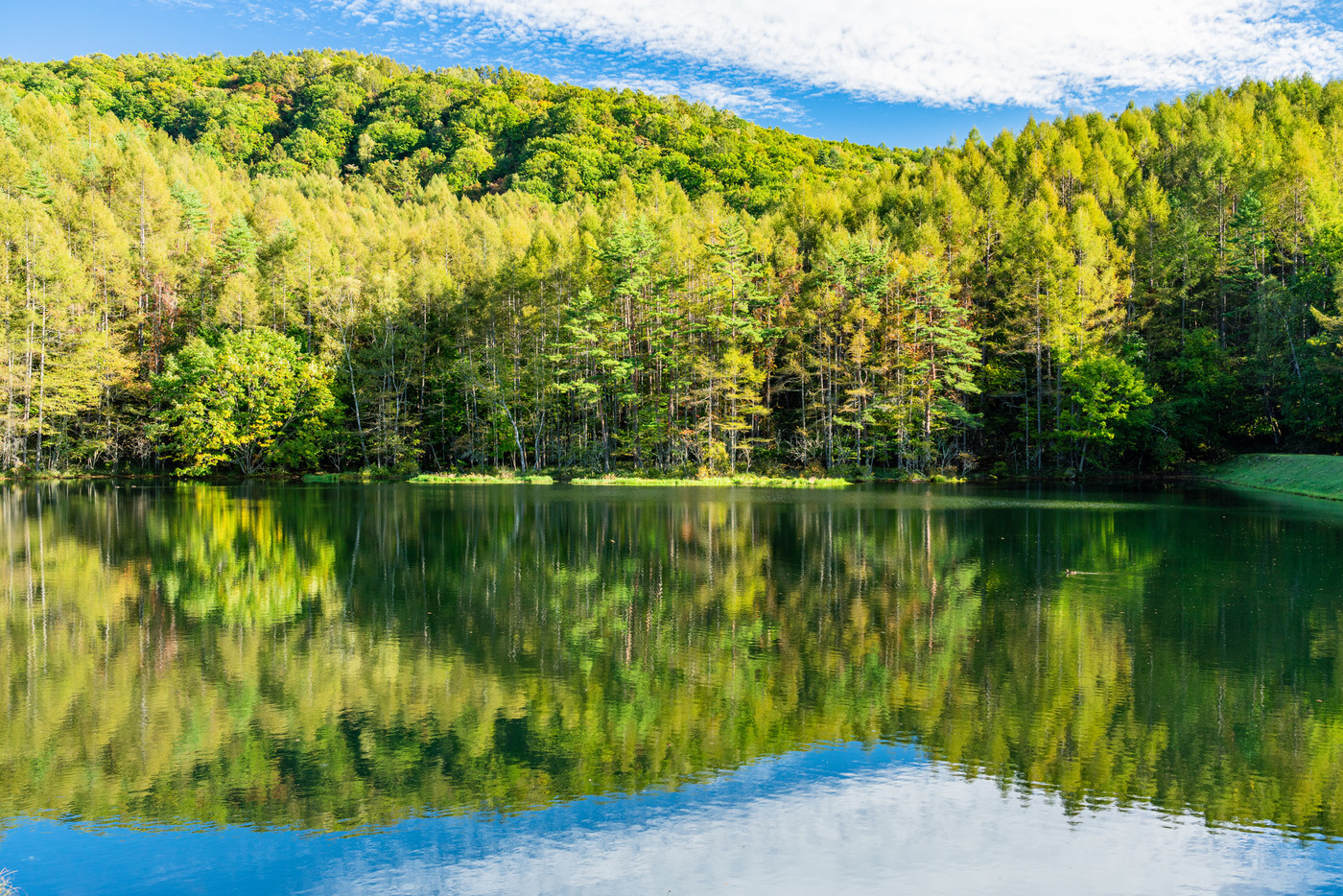（長野県）秋の御射鹿池　シンメトリー