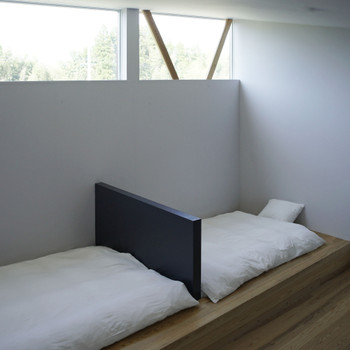 Ammonite Hotel3513446