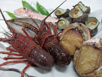 地元で水揚げされた新鮮な海鮮三昧！郷土料理「海賊焼き」も食べちゃおう3519763