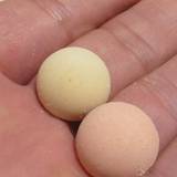 両口屋是清 ＪＲ名古屋タカシマヤ店（リョウグチヤコレキヨ）