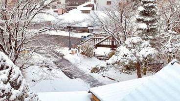 部屋からの景観 / 11