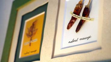 レストラン / 17