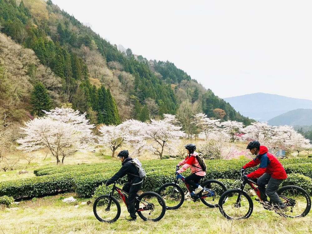 自転車