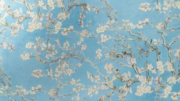 内装の詳細 / 10