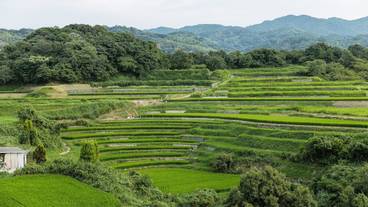 施設からの眺望 / 12